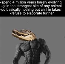 Image result for Funny Evolution Memes