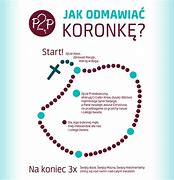 Image result for co_to_za_załuskie_koronne