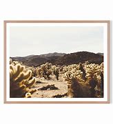 Image result for Desert Landscape Foreground Cactus