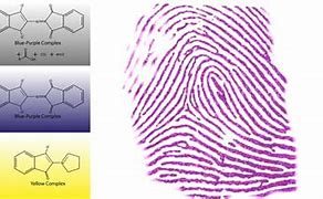 Image result for Nyhedron Fingerprint Spray