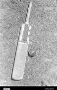 Image result for Cricket Bat