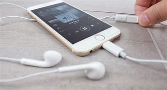 Image result for EarPods with Lightning Connector