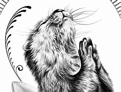 Image result for Praying Otter Meme