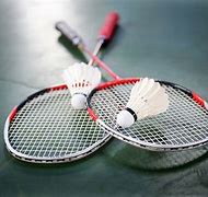 Image result for Badminton Equipment Sport