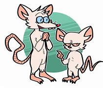 Image result for Pinky and the Brain Cage