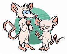 Image result for Pinky and the Brain Tumbler PNG