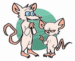 Image result for Pinky and the Brain Transparent PNG