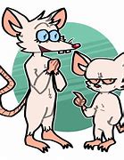 Image result for Pinky and the Brain Avatar