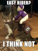 Image result for Halloween Cat Costume Meme