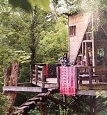 Image result for Biggest Tree House in the World