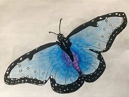 Image result for Anime Butterfly Drawing
