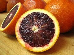 Image result for Blood Orange Fruit