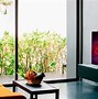 Image result for LG CX Series OLED TV