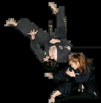 Image result for Hapkido Throws