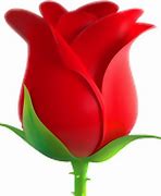 Image result for iPhone 12 Rose Apple