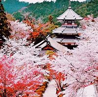 Image result for Japan Green Places