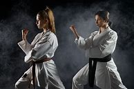 Image result for Female Martial Arts Stance