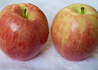 Image result for Organic Apples