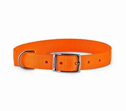 Image result for dogs collar