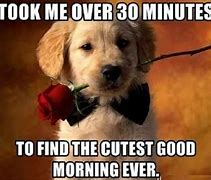 Image result for Funny Good Morning Beautiful People