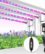 Image result for Philips LED Grow Lights
