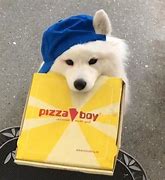 Image result for Pizza Dog Meme Peesha