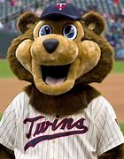 Image result for Minnesota Twins Mascot