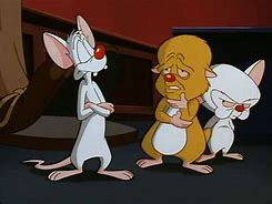Image result for Pinky and the Brain Episodes