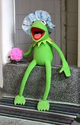 Image result for Kermit Frog Shower Meme