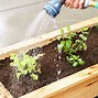 Image result for DIY Planter Box Plans Raised Stand