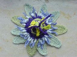 Image result for Passion Fruit Crochet