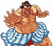 Image result for Street Fighter Sumo Guy