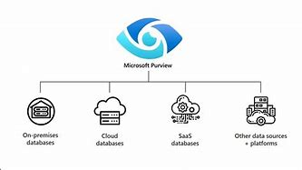 Image result for Azure Purview