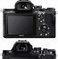 Image result for Sony A7ii Display
