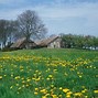 Image result for co_to_znaczy_zwarte_meer