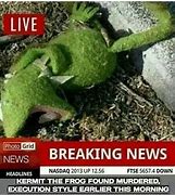 Image result for Kermit the Frog Is Dead