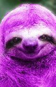 Image result for Sid Sloth Meme