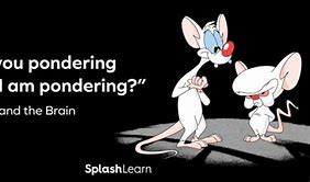 Image result for Pinky and the Brain Are You Pondering Quotes