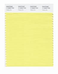 Image result for Yellow Pantone Swatch