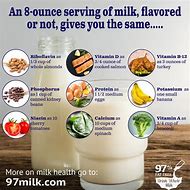 Image result for Fun Facts About Milk