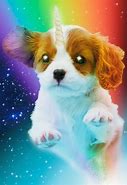 Image result for Unicorn and Dog