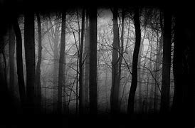 Image result for Scary Black and White Background