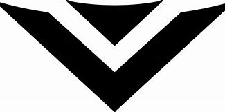 Image result for Vizzo Logo