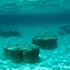Image result for Bahamas Exuma Cays Land and Sea Park