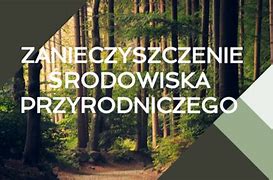 Image result for co_oznacza_zarządzanie_Środowiskiem