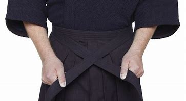 Image result for Kendo Hakama