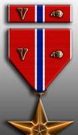 Image result for Bronze Star with V Device