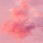 Image result for Pink Aesthetic Rose with Sky