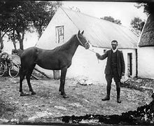 Image result for Man On Horse 1800s