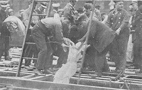 Image result for Bodies in Titanic Still Alive